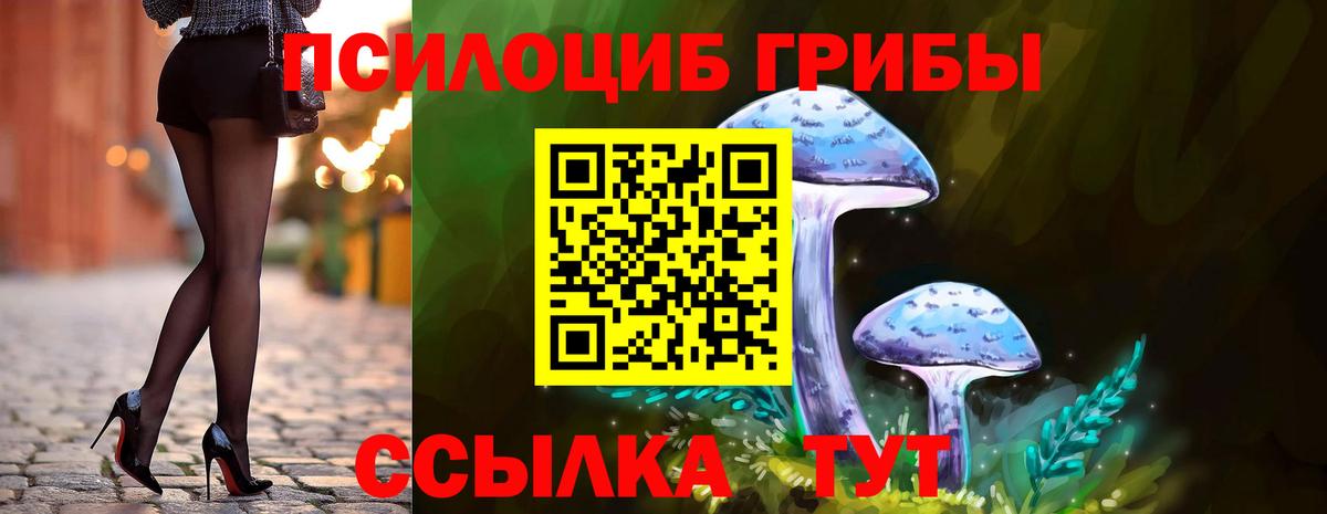 Псилоцибиновые грибы GOLDEN TEACHER Чита