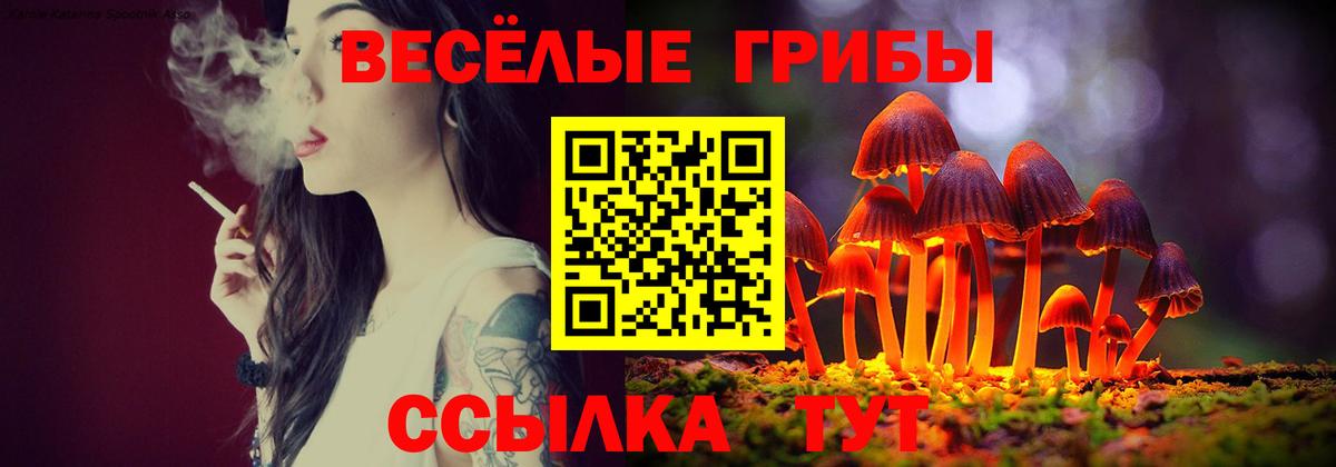 Галлюциногенные грибы Magic Shrooms  Вход с VPN  Чита 
